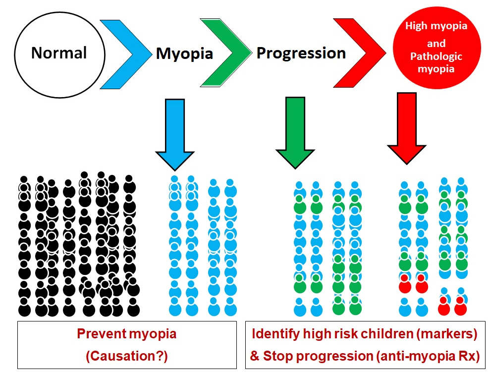 Myopia Research Activities