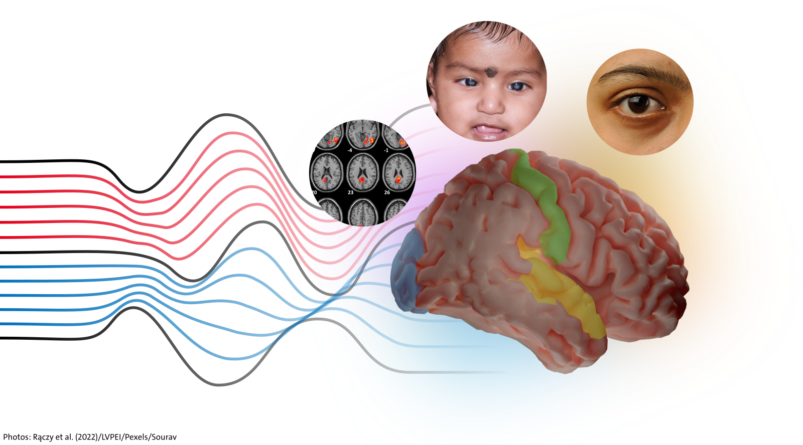 background image with waves, and a picture of brain, eye and a child.