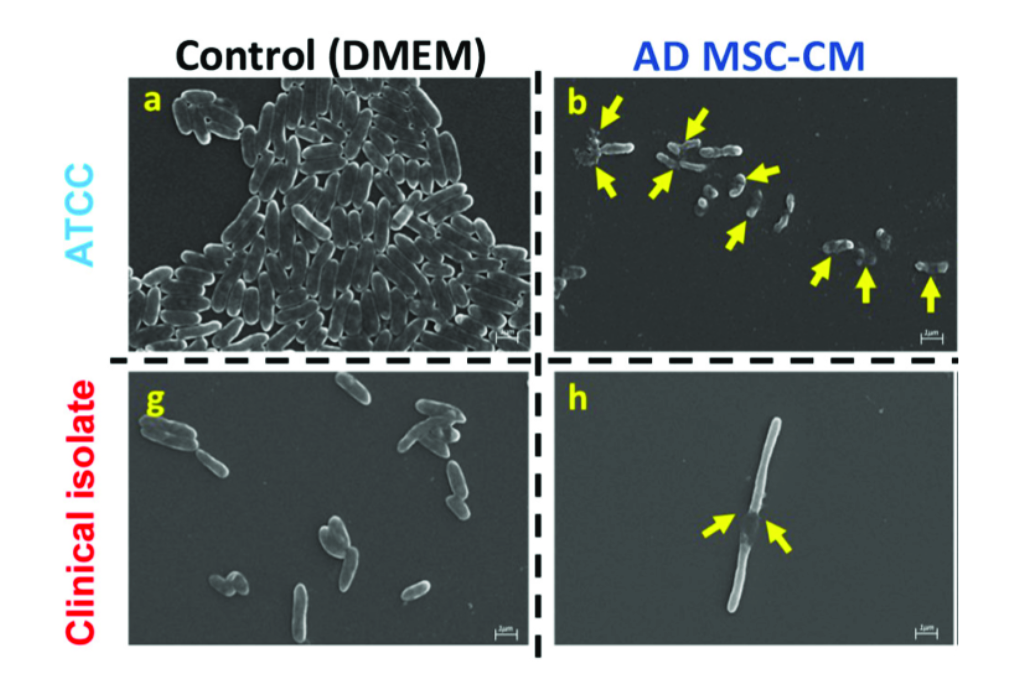excerpt from figure 1, Abbireddy et al