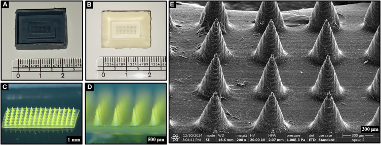 Microneedle Scleral Patch